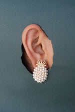 Load image into Gallery viewer, Tropical tease studs