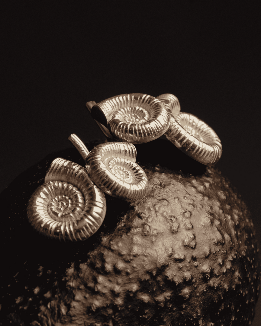 Snail-it Studs